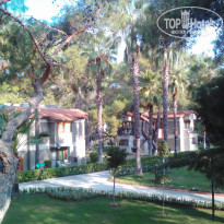 фото из отзыва ID 1852196