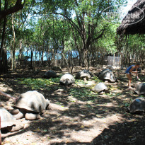 фото из отзыва ID 1852305