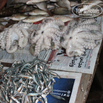 фото из отзыва ID 1852305