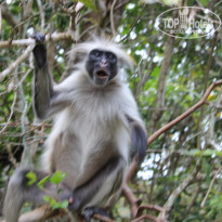 фото из отзыва ID 1852305