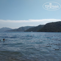 фото из отзыва ID 1852272