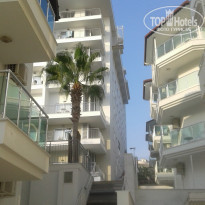 фото из отзыва ID 1852347