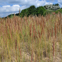 фото из отзыва ID 1852300