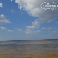 фото из отзыва ID 1852300