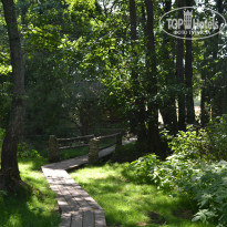 фото из отзыва ID 1852300