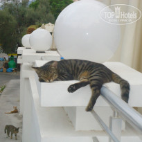 фото из отзыва ID 1852656