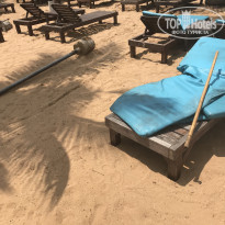 фото из отзыва ID 1852944