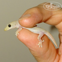 фото из отзыва ID 1852990