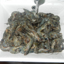 фото из отзыва ID 1853099