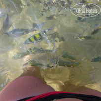 фото из отзыва ID 1853099