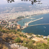 фото из отзыва ID 1852987