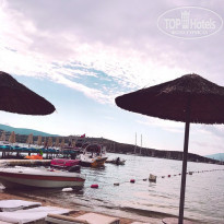 фото из отзыва ID 1853257