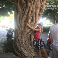 фото из отзыва ID 1853389