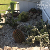 фото из отзыва ID 1853389