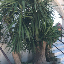 фото из отзыва ID 1853389