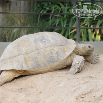 фото из отзыва ID 1853705