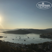 фото из отзыва ID 1853774