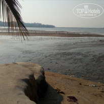 фото из отзыва ID 1853832