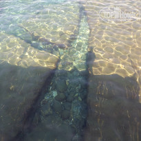 фото из отзыва ID 1853888