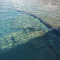 фото из отзыва ID 1853888