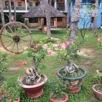 фото из отзыва ID 1853850