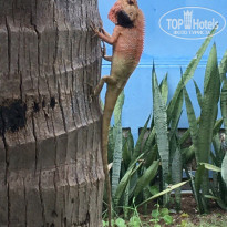 фото из отзыва ID 1853850