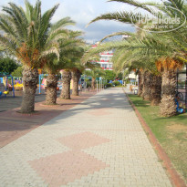 фото из отзыва ID 1853787