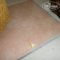 фото из отзыва ID 1853906