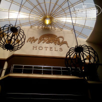 фото из отзыва ID 1854031