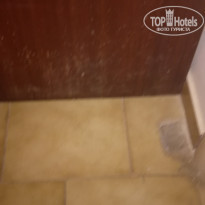 фото из отзыва ID 1854053