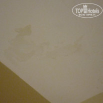 фото из отзыва ID 1854053