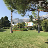 фото из отзыва ID 1854078