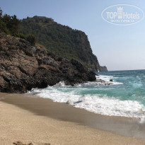 фото из отзыва ID 1854217