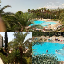 фото из отзыва ID 1854284