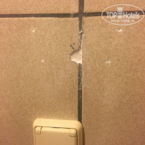 фото из отзыва ID 1854290