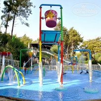 фото из отзыва ID 1855012