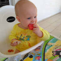 фото из отзыва ID 1855024