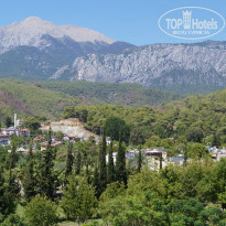 фото из отзыва ID 1855008