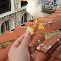 фото из отзыва ID 1854601