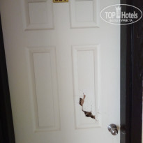 фото из отзыва ID 1855206