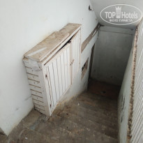 фото из отзыва ID 1855206