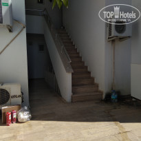 фото из отзыва ID 1855206