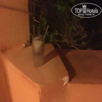 фото из отзыва ID 1855271