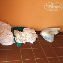 фото из отзыва ID 1855271