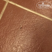 фото из отзыва ID 1855271