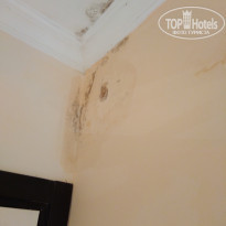 фото из отзыва ID 1855206