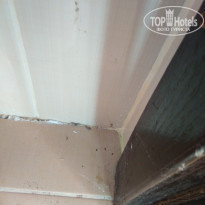 фото из отзыва ID 1855206