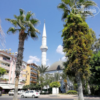 фото из отзыва ID 1855426