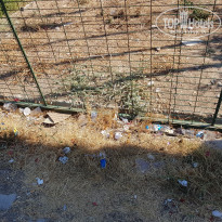 фото из отзыва ID 1855468