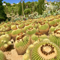 фото из отзыва ID 1855502